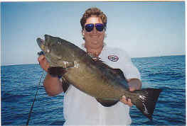 alexlawgrouper.jpg (30723 bytes)