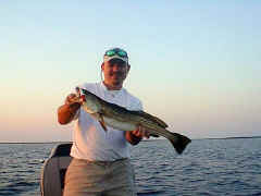 bigtrout1.jpg (27020 bytes)
