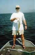 tomtrout1.jpg (20412 bytes)